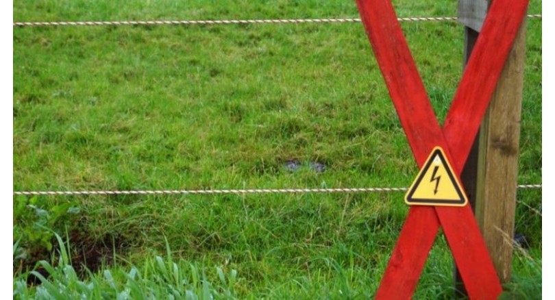 Paliki do pastucha – rodzaje, wybór, ceny