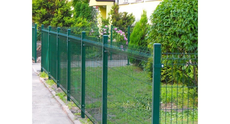 CO SIĘ PRZYJĘŁO W OGRODZENIU ?