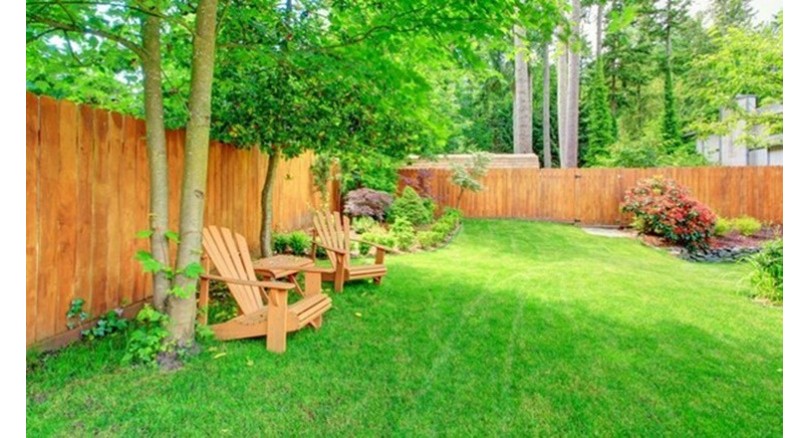 4 pomysły na tanie ogrodzenie działki