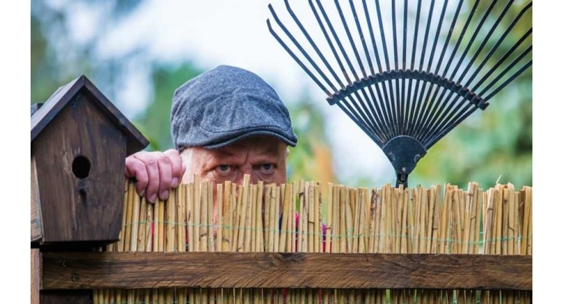6 praktycznych rozwiązań, jak odgrodzić się od sąsiada