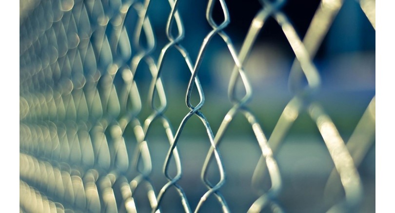 Co lepsze: siatka ocynkowana czy powlekana?