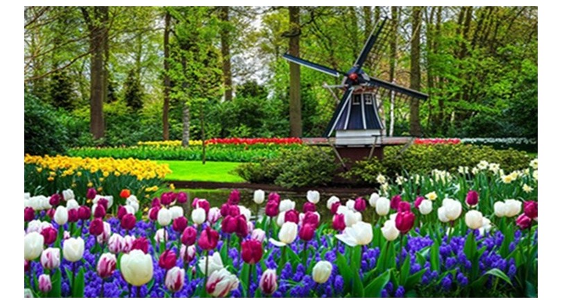 Ciekawe pomysły ozdoby do ogrodu