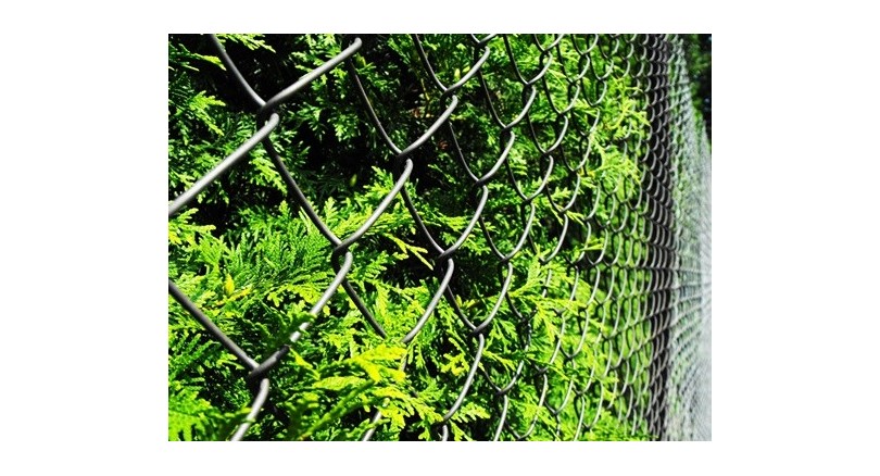 Jak zrobić kojec dla psa?