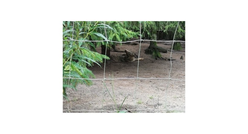 Ogrodzenie działki rolnej w świetle polskiego prawa