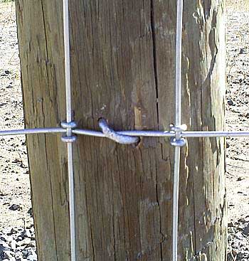 leśna siatka na palikach drewnianych