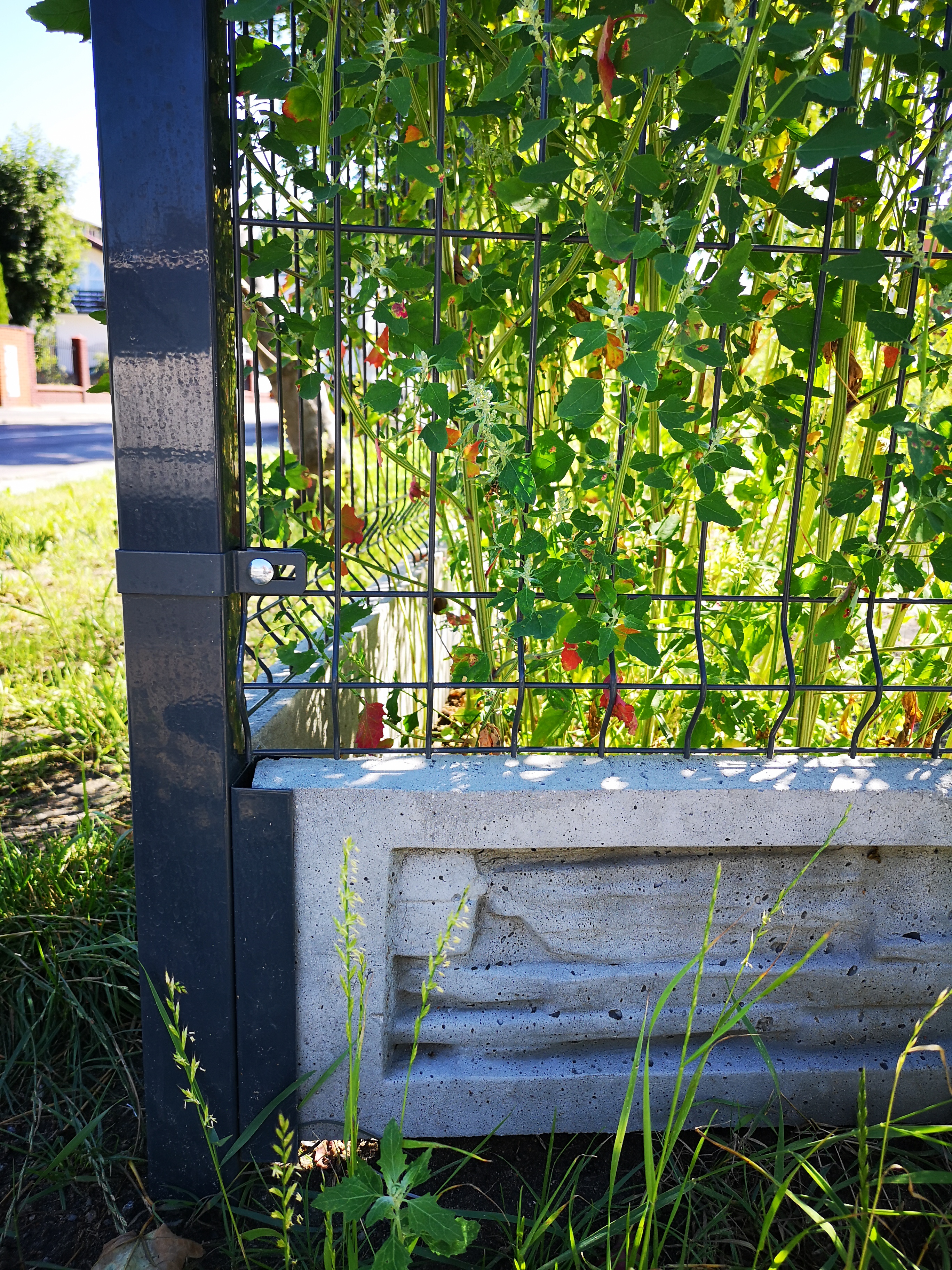 ceownik grafitowy 250cm