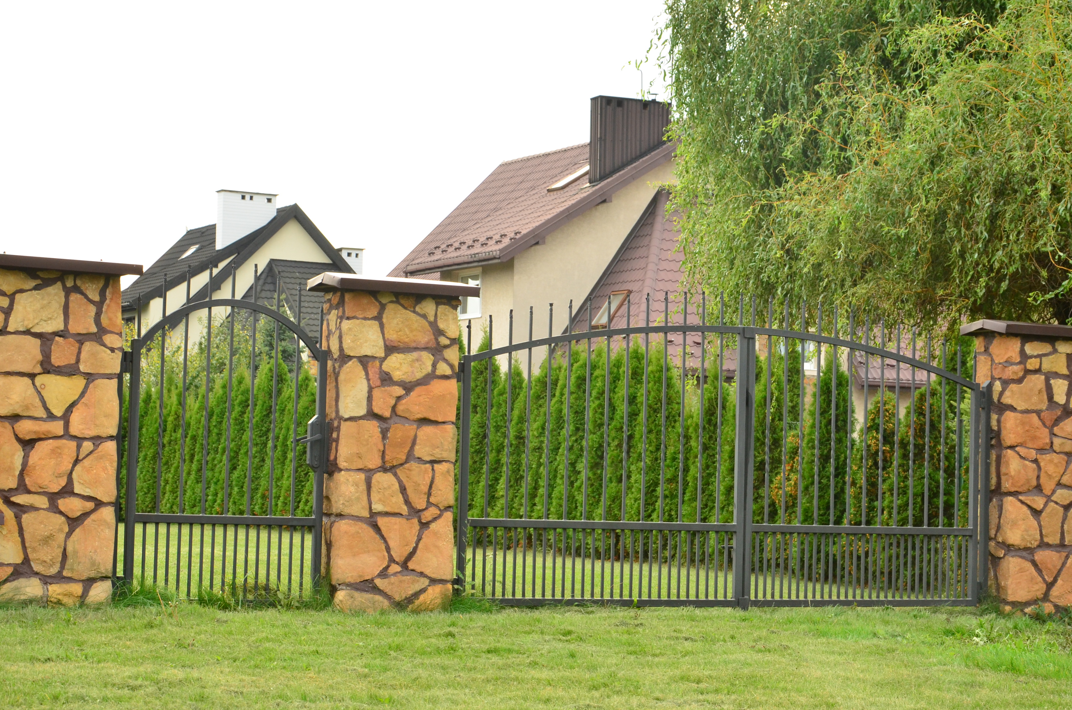 tuje szmaragdowe jako żywopłot naturalne ogrodzenie