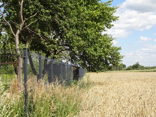 gleba-tanie-siatka-panel