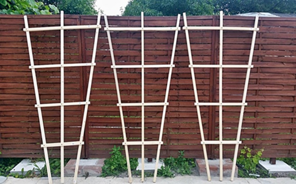 podpory-na-winorośl